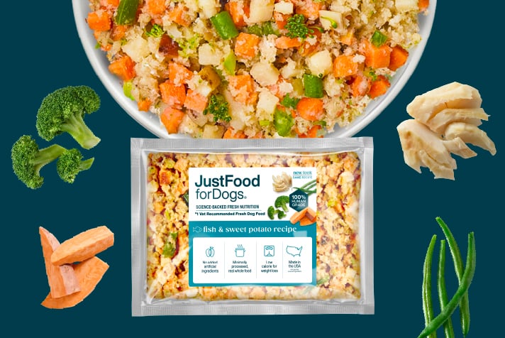 a bowl of just food for dogs fish & sweet potato recipe