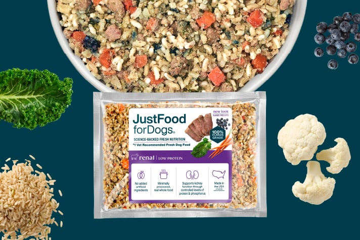 just food for dogs renal support low protein fresh frozen recipe presented in a bowl, with raw, fresh ingredients displayed around the bowl